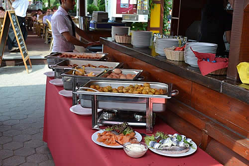 Elbterrassen 2011 003.jpg