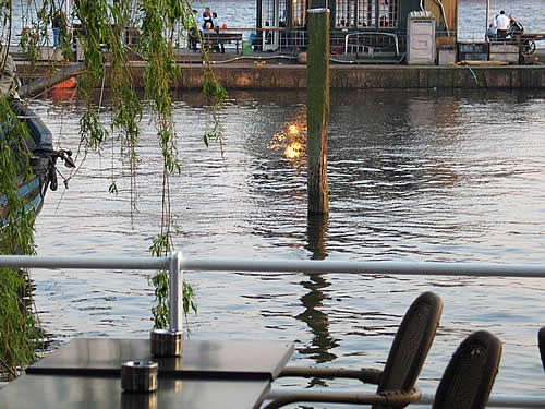 Elbterrassen  2011 025.jpg