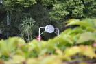 Fotograph Heiner Lemmer - Jubil�um 026