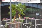 Fotograph Heiner Lemmer - Jubil�um 086