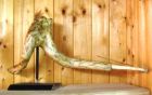 dangio15.jpg.jpg
