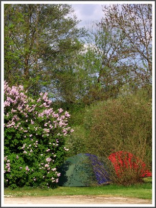 CAMPING AU PRINTEMPS