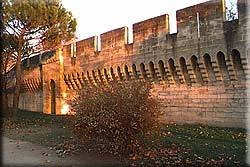 Avignon-2