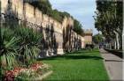 Avignon-7