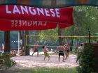  03 - Langnese