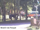 Saison 2009 041.jpg