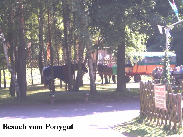 Saison 2009 041.jpg