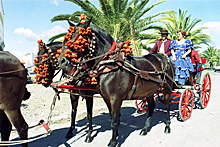 Spanien, Andalusien