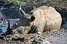Suedafrika-Durban-230.jpg