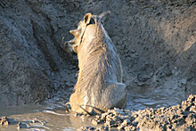 Suedafrika-Durban-279.jpg