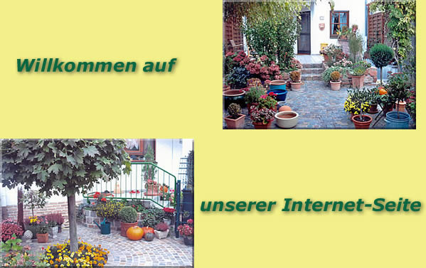 Antonello Cao, G�rtnermeister - Gartenbau und Landschaftsbau