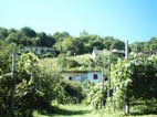 Casa Dina vom Garten
