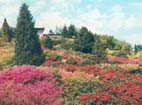 Parco San Grato