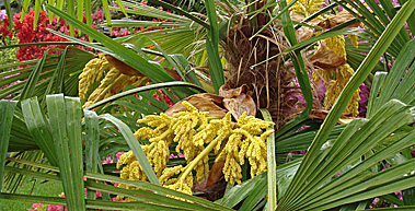 110729_1204_Bild_03_379x193px.jpg