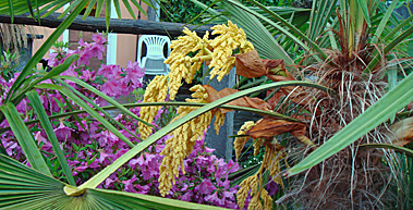 Orselina-028_379x193px.jpg
