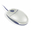 Souris
