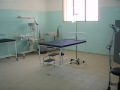 <b>p1010252.jpg</b><br>