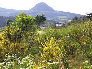 Le Lizieux mini-volcan ou suc