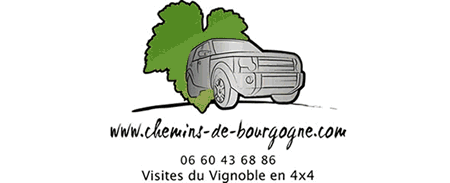 Book a wine tasting tour in Burgundy with a private guide aboard a comfortable 4WD to discover vineyards, grands crus and cellars of Cote de Beaune and Cote de Nuits. Chemins de Bourgogne is also a comfortable gite.