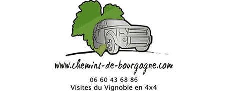 D&eacute;gustez les c&ocirc;tes de Beaune et de Nuits en v&eacute;hicule 4x4 - Visites comment&eacute;es du vignoble, de chateaux, de caves... Gite possible