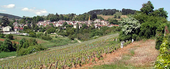 anim_590x240px_04.jpg