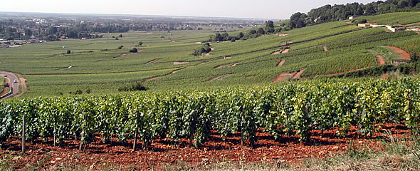 anim_590x240px_05.jpg