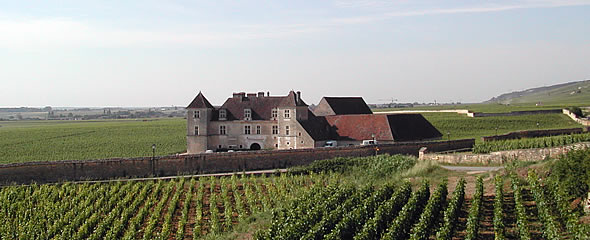 anim_590x240px_06.jpg
