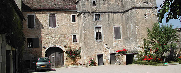 anim_590x240px_07.jpg