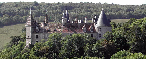 anim_590x240px_08.jpg