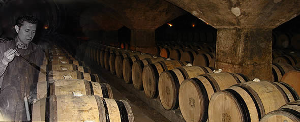 anim_590x240px_09.jpg