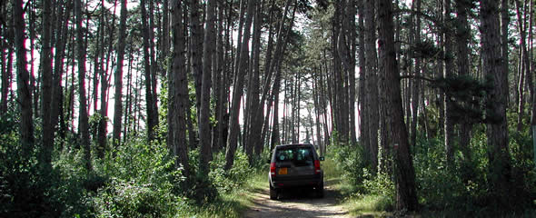 anim_590x240px_10.jpg