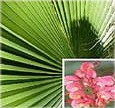 Catalogue de la jardinerie