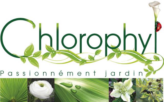Jardinerie en ligne - Vente de plantes - Am&eacute;nagement de jardin - Coaching jardin
