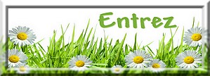 Entrez sur le site www.chlorophyl.org