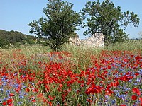 Visualiser votre paysage