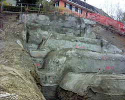 Bild-001 Heckenweg
