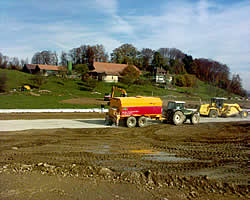 Bild 002 Heckenweg
