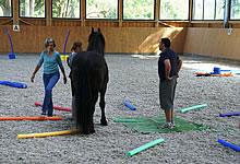 Teamwork gestalten