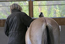 Einzelcoaching