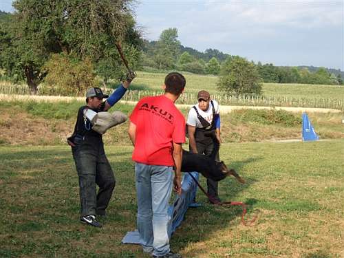 Einsatz mit Hunden / Hundetraining