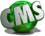 Izdelava spletnih strani cms