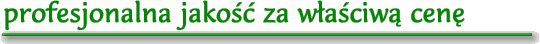 Wir erstellen Ihre Homepage in Profi-Qualit�t zum fairen Preis.