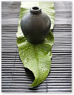 COSIMA GROUP | Cosima Adletzberger | Shiatsu 