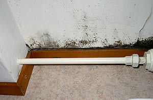 Schimmel in Wohnräumen