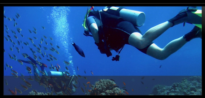 Logbuch Coraya-Divers