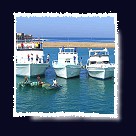 Coraya Divers Bootsausfl�ge