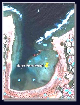 das Coraya Divers Hausriff - eine der schönsten Buchten am Roten Meer