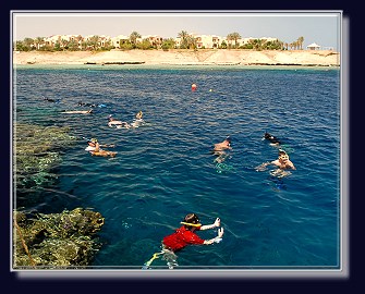Optimal zum Schnorcheln - das Hausriff in der Bucht der Coraya Divers Ägypten