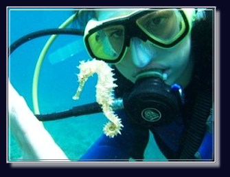Das Markenzeichen der Coraya Divers - diesmal hautnah und live am Hausriff