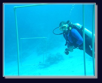 Sicherheit bei Coraya Divers - ein wichtiges Thema beim Tauchen